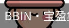 BIN宝盈集团